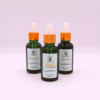 Coffret "Portes du Palais Royal" en Mini ou Maxi – Image 5
