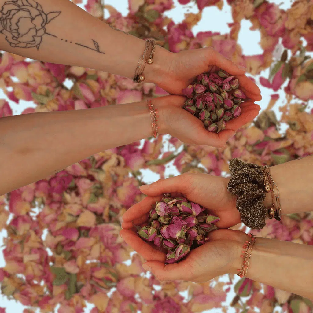 Boutons de roses séchés marocains
